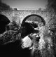 img603-copy-tp.jpg