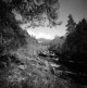 img605-copy-tp.jpg