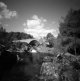 img607-copy-tp.jpg