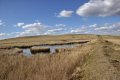 West Mil pond 210415 01.jpg West Mil pond 210415 01.jpg