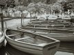 1175_015-10_JPEG5.jpg