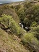 Meldon West Okement Waterfalls 01-4217 PS Adj.jpg Meldon West Okement Waterfalls 01-4217 PS Adj.jpg