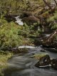 Meldon West Okement Waterfalls 04-0594 PS Adj.jpg Meldon West Okement Waterfalls 04-0594 PS Adj.jpg