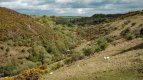 Meldon Viaduct-4148 PS Adj.jpg Meldon Viaduct-4148 PS Adj.jpg