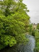 River Walkham from Tilley Bridge-1003795 PS Adj.jpg