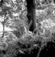 AdyRivington_Mixed copy.jpg