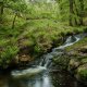 Venford Brook 03-4337 PS Adj V3.jpg Venford Brook 03-4337 PS Adj V3.jpg