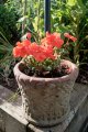 Resized.1.jpg