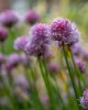 jun 09-21 (1 of 1)-8.jpg