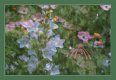 Week 25-CHOICE-NZA_2234.jpg