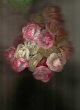 flowers low res..jpg