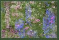 Multiple flowers.jpg