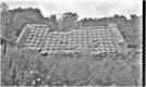 imageedit_1_7871009358.jpg imageedit_1_7871009358.jpg