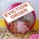 Sleeping-Hamster.jpg