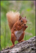 Screenshot 2021-07-15 193344.jpg