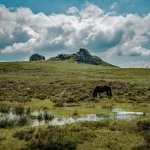 025 Haytor from the North 02-4733 PS Adj.jpg 025 Haytor from the North 02-4733 PS Adj.jpg