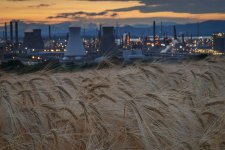 Week 28 - Plant Tech HDR 2.jpg