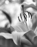 July 18-21 (1 of 2)-3.jpg