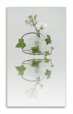 Week 28 - PLANT.jpg
