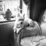 Untitled-18 copy.jpg