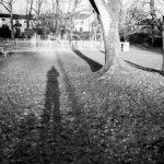 Untitled-38 copy.jpg