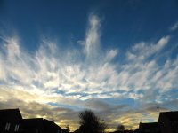 Panasonic TZ40 1000623.JPG