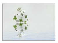 plant-tes3t.jpg