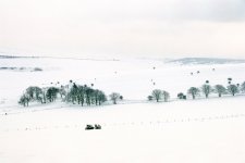 South Downs Snow.jpg
