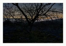 dusk light.jpg