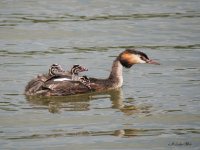 All aboard.-Edit.jpg