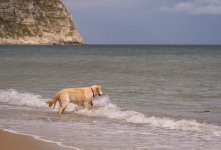 Social Media-9380.jpg