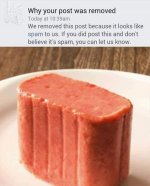 spam.jpg