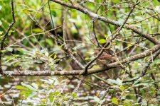 TCR00953-Edit.jpg