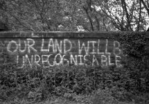 2106CPMXBW02 Graffiti 1.jpg