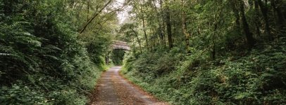 Broni PANO Test 01-39250004 PS Adj.jpg