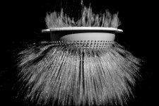 Week 30 Snappers Choice-2.jpg