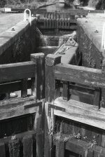 opening1.jpg