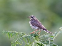 Aug 09 2021 P8090094.jpg