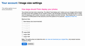 Screen Shot 2021-08-11 at 12.45.39 PM.png