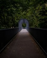 aug (1 of 1).jpg