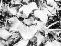 2021-02-20-washif-canonf1n-13.jpg