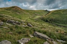 006 Tavy Cleave G 01-1736 PS Adj.JPG