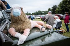 Covid lion.jpg Covid lion.jpg