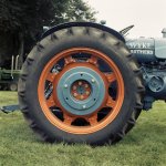 Atsle-F+C8.jpg Atsle-F+C8.jpg