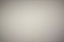 1629358876439.png 1629358876439.png