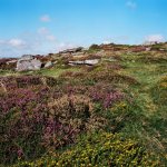 Yar Tor Ektar-43730009 PS Adj.JPG