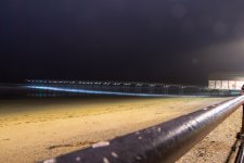 DSC_1994.jpg