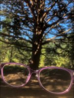 Week 34 - Glasses.jpg