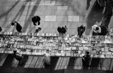 XP2 Browsers on the Thams.jpg