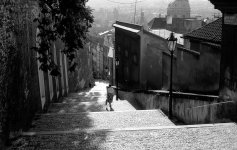Praha Alley.jpg